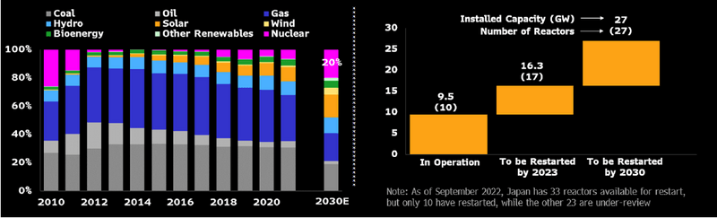 Japan's Power Generation Mix, Nuclear Fleet