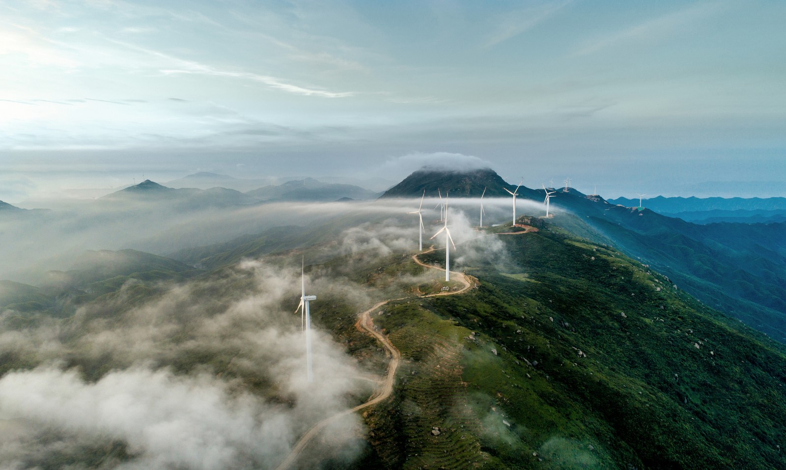 Green bonds turbo charge ESG debt sales to busiest February ever | Insights | Bloomberg Professional Services