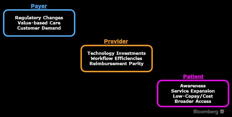 Catalysts for Telehealth Adoption