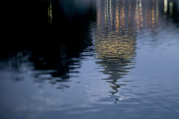 Q&A: Navigating new sustainable and ESG fund regulations | Insights | Bloomberg Professional Services