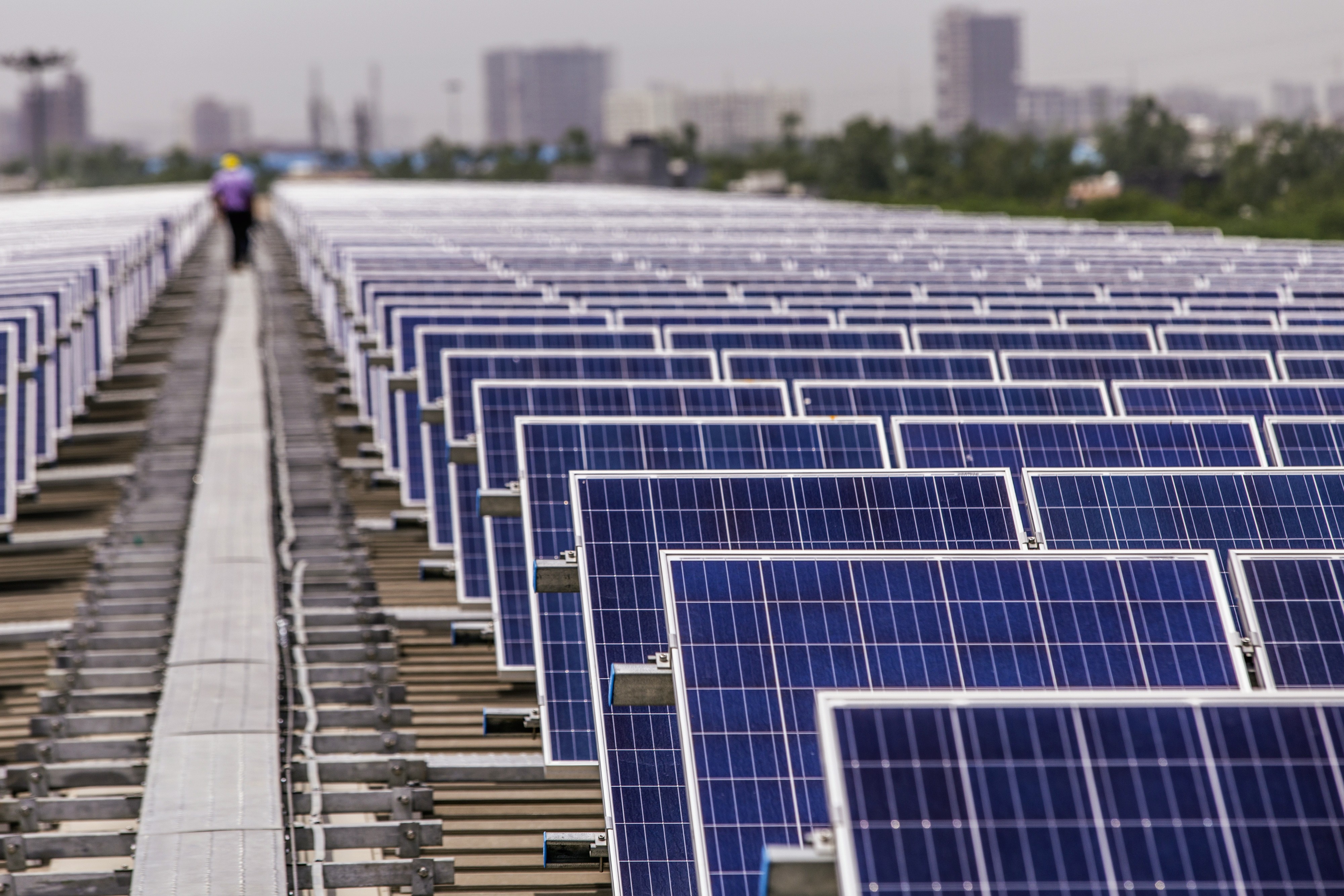 The importance of global cooperation on green taxonomies | Insights | Bloomberg Professional Services