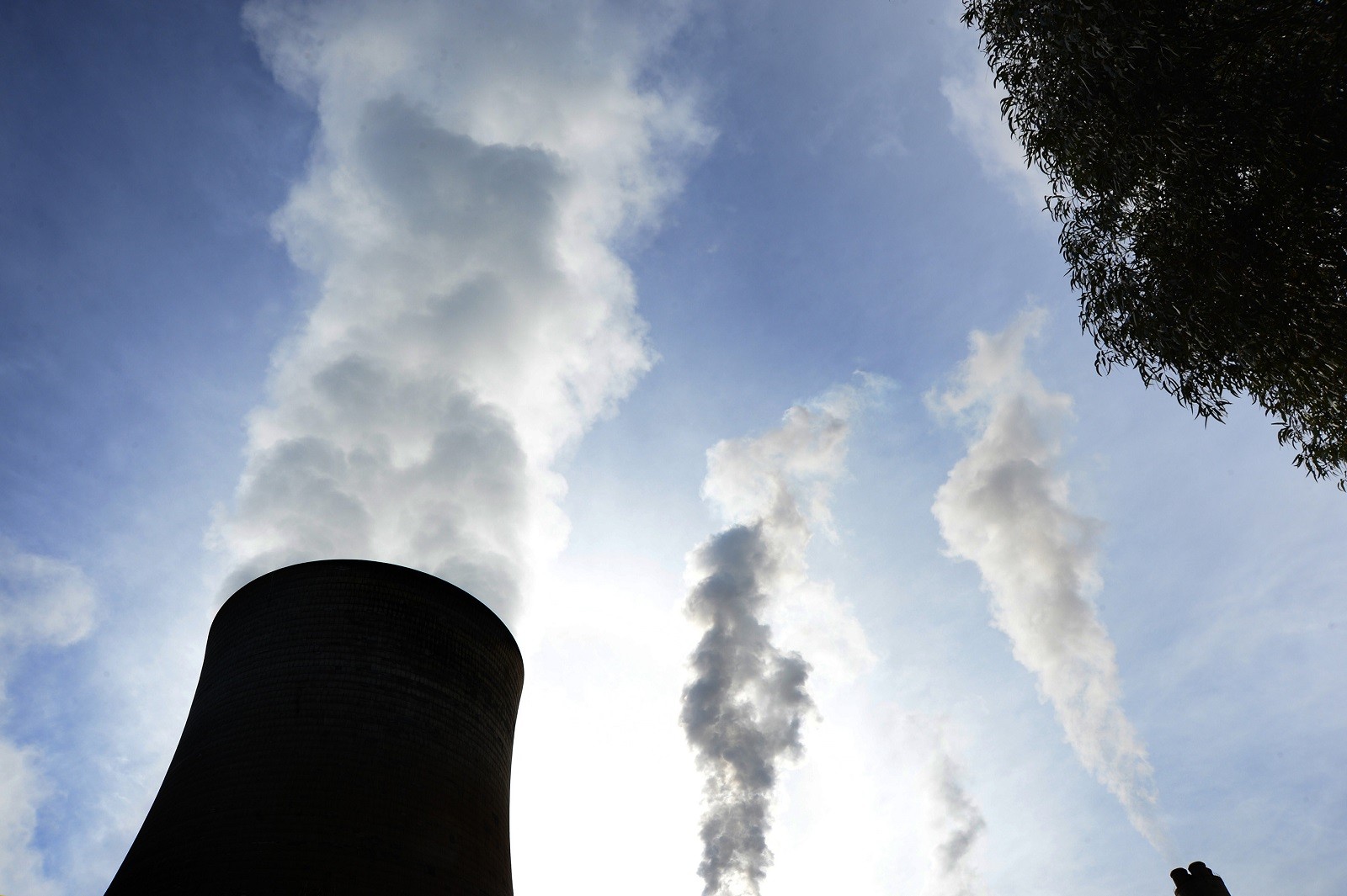 How green are your investments? | Insights | Bloomberg Professional Services