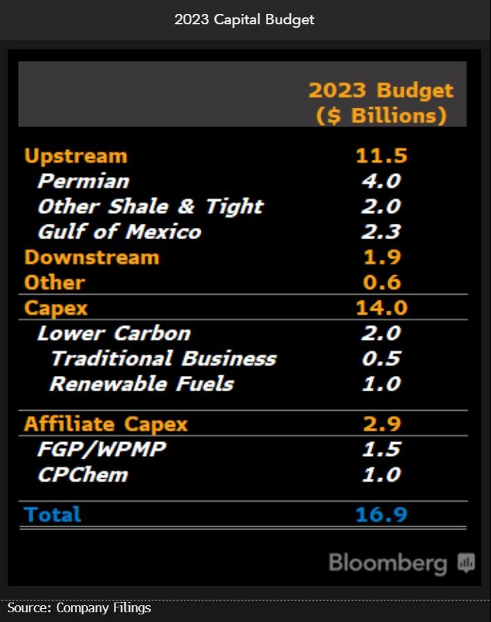 Capital budget