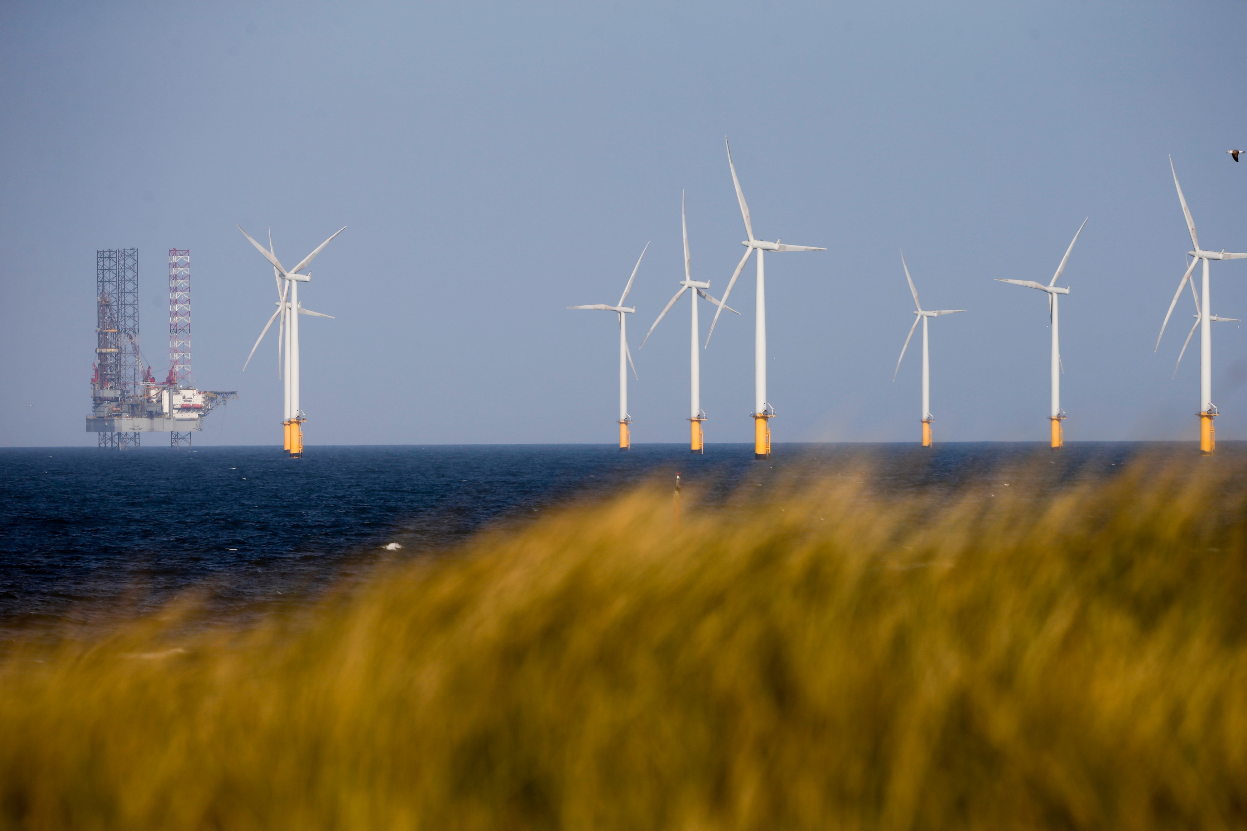 New guidance aims to clarify investment alignment with EU net zero goals | Insights | Bloomberg Professional Services