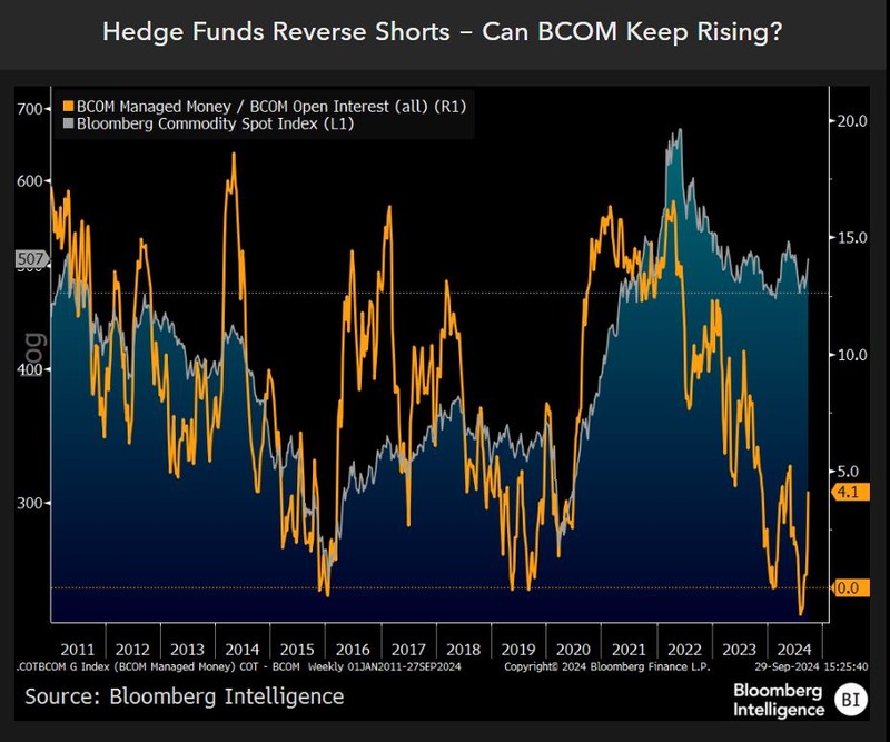 Hedge funds reverse shorts