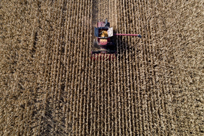 US - Field of crops