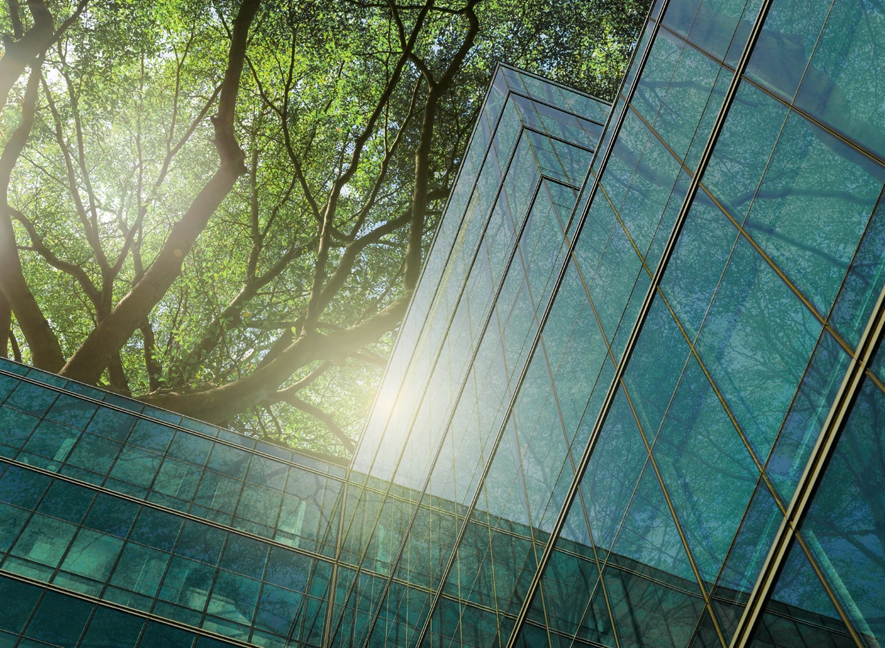 Glass builiding with trees overhead reflecting sunlight