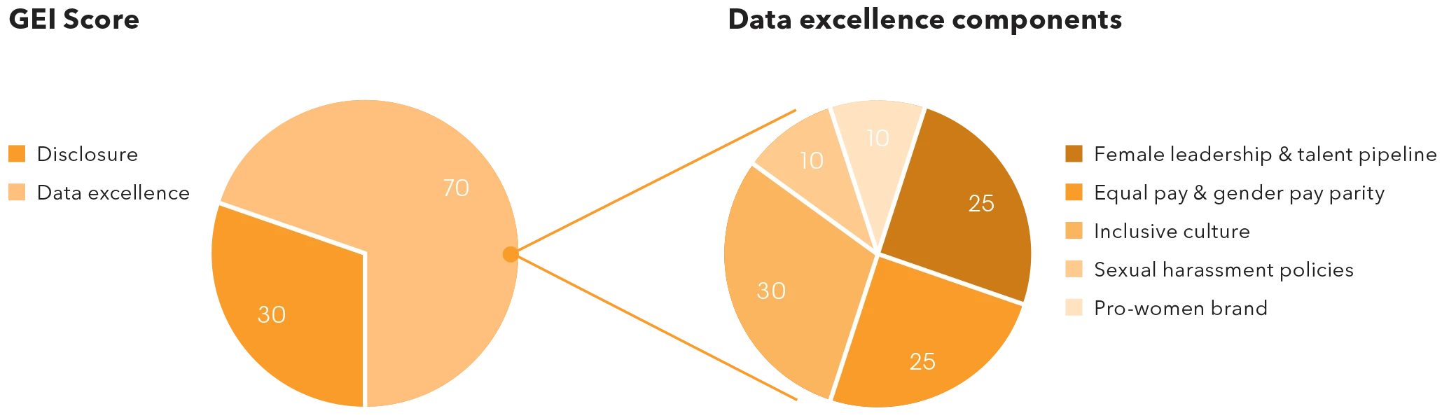 The GEI Score measures both level of disclosure of gender-related data, as well as distinguished performance via a data excellence component score. The data excellence component score is further broken down into scores for each of the GEI framework pillars, and includes corporate performance of its gender-data metrics against its industry peer group.