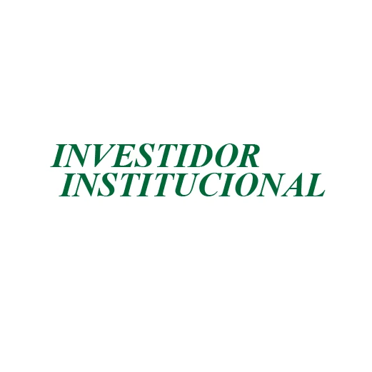 Investidor Institucional