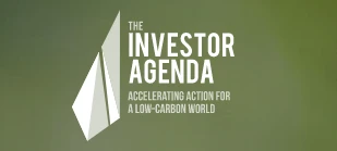 Investor agenda
