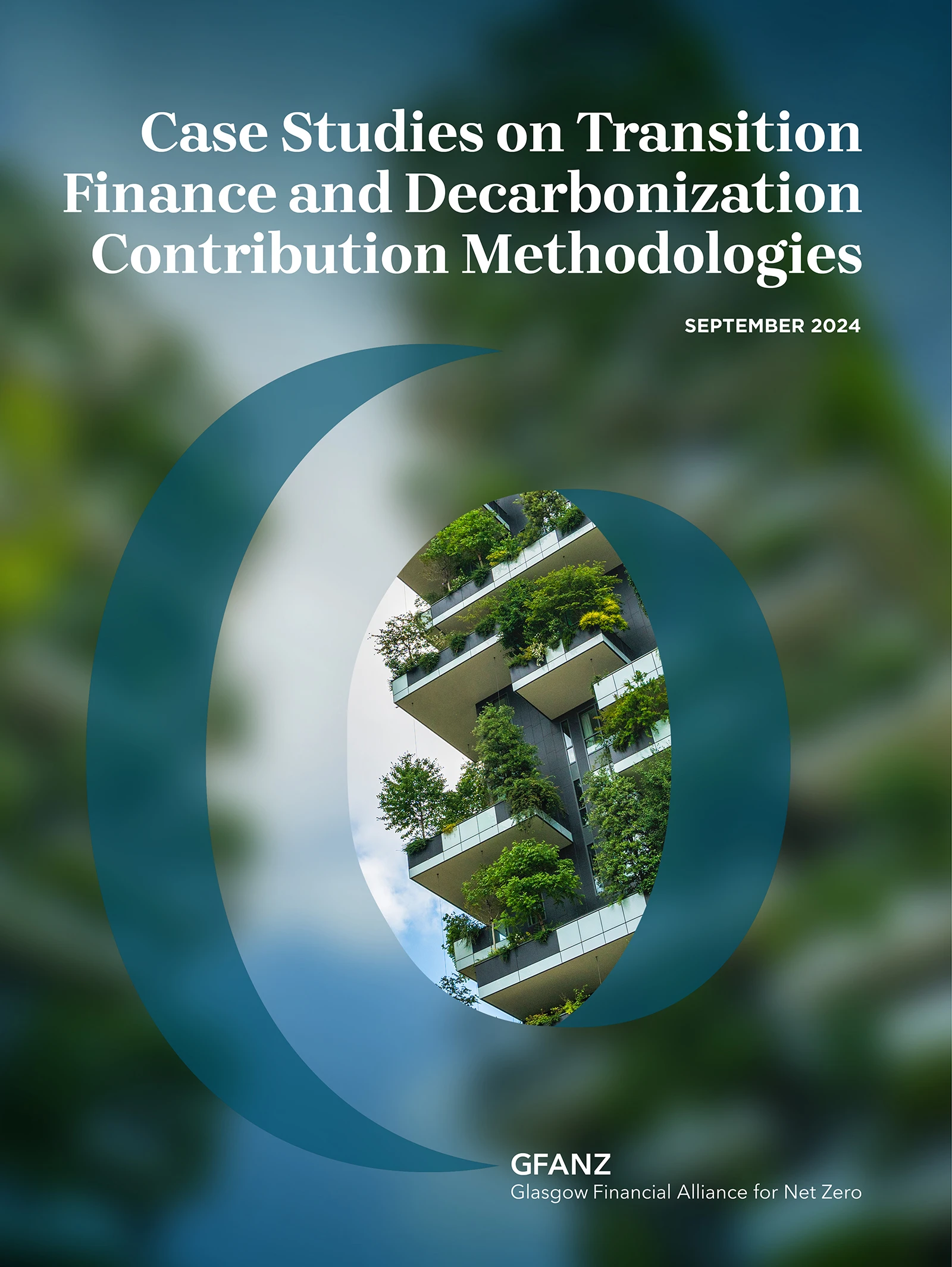 Case Studies on Transition Finance and Decarbonization Contribution Methodologies