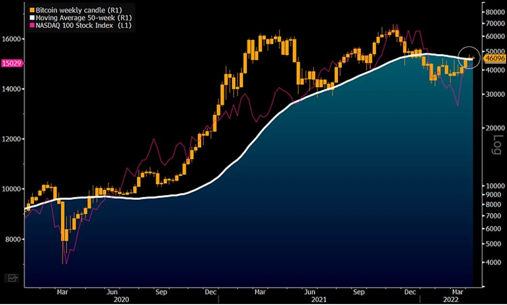 Bitcoin Buoyancy May Outlast the Stock Market