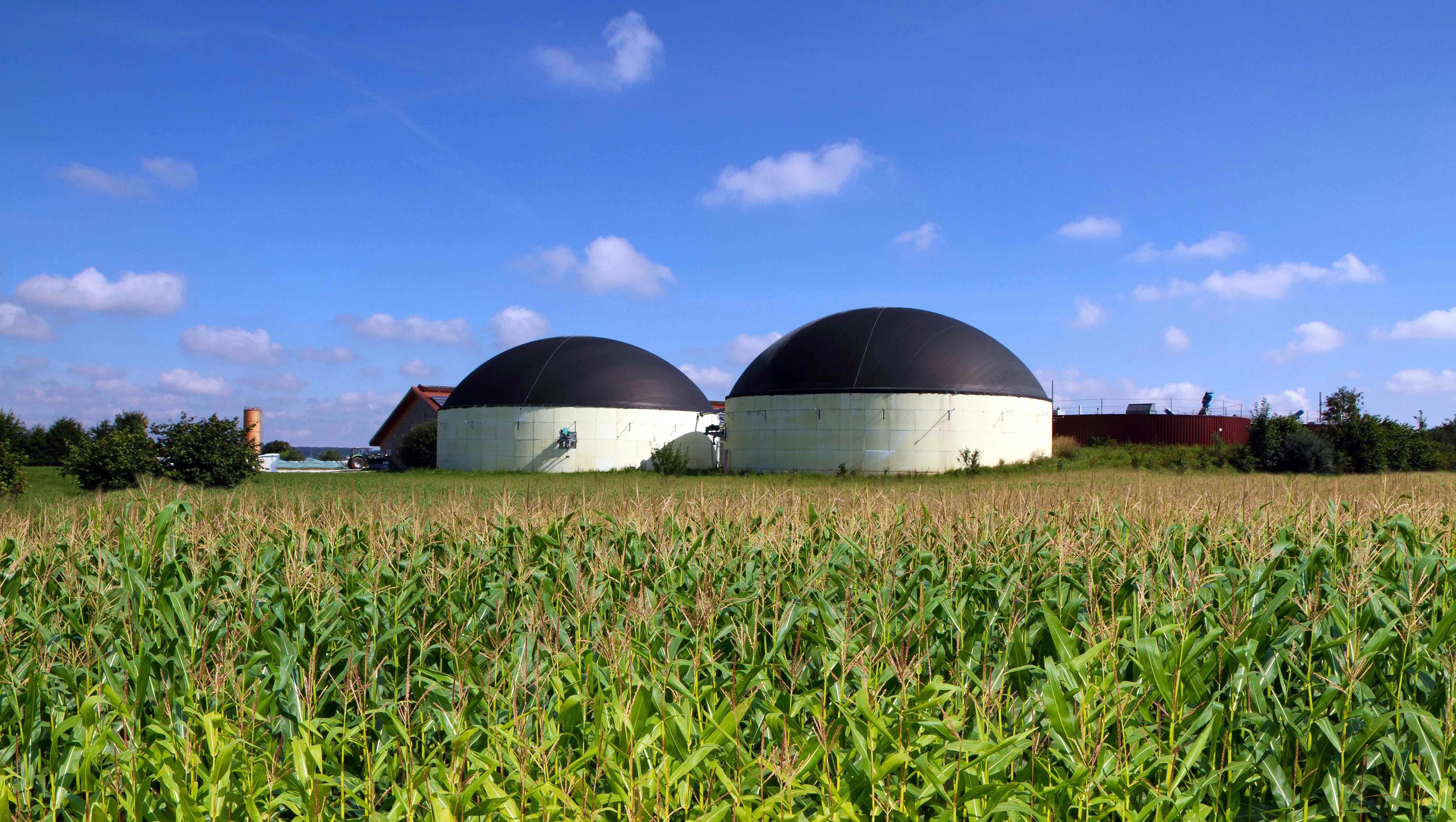 Biogas plant