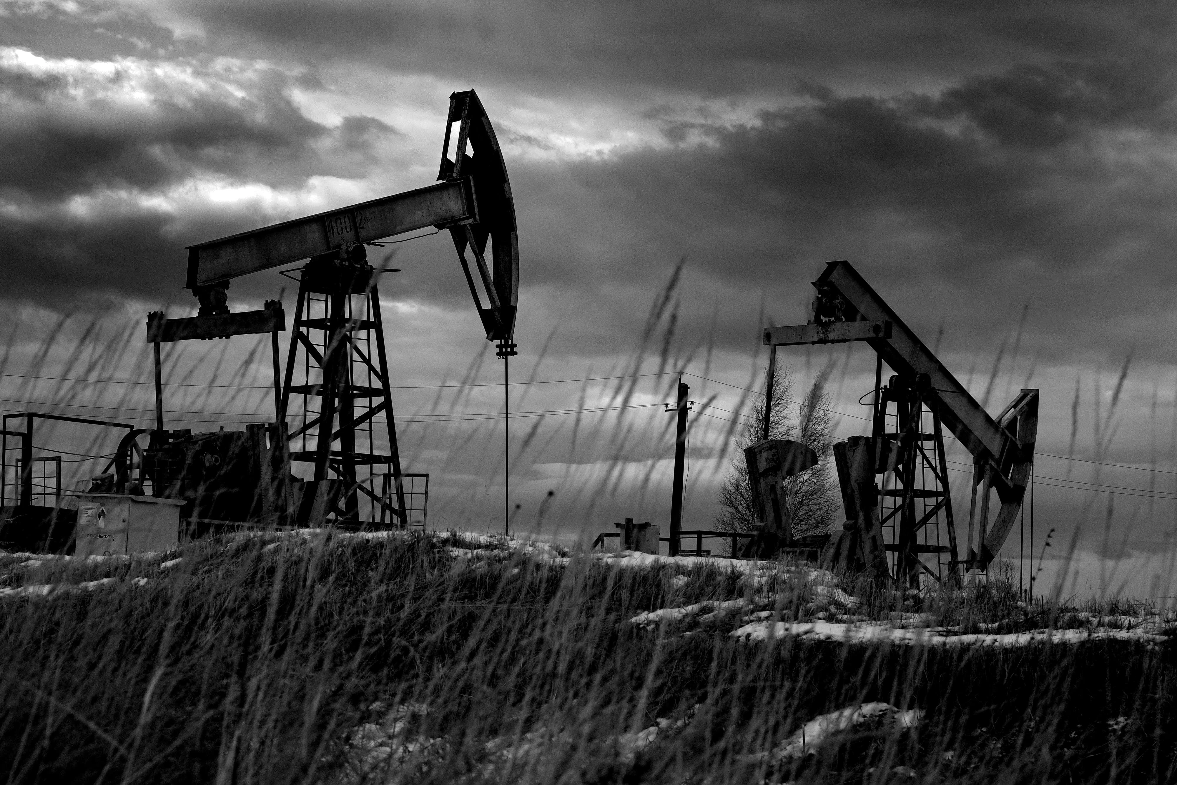 Oil pumping jacks in an oil field in Russia.