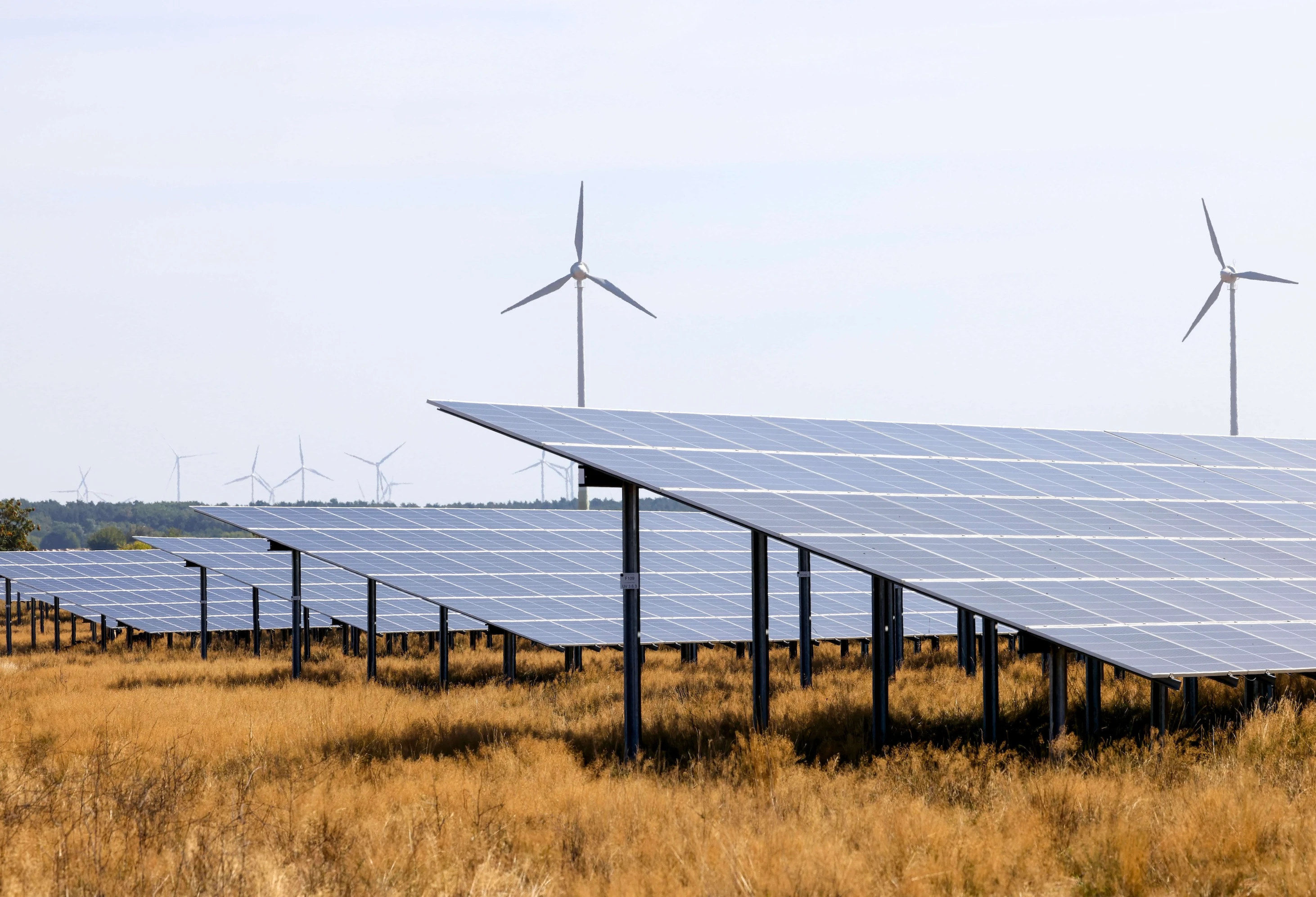 Solar panels and wind turbines