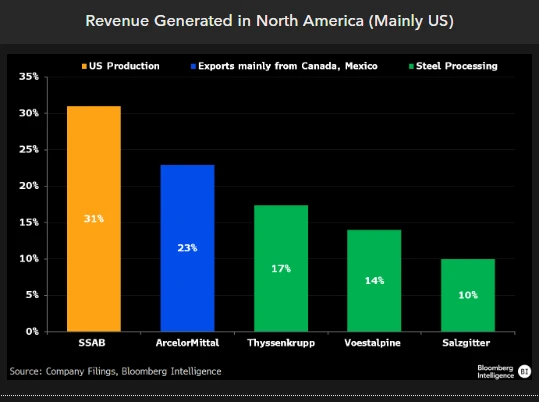 Revenue Generated in North America (Mainly US)
