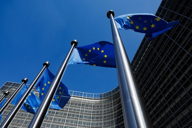 EU flags