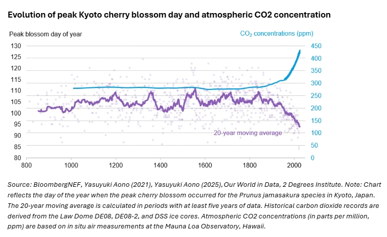 Evolution of peak Kyoto cherry blossom day and atmospheric CO2 concentration