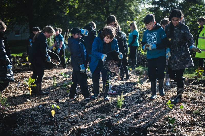 Children planting trees