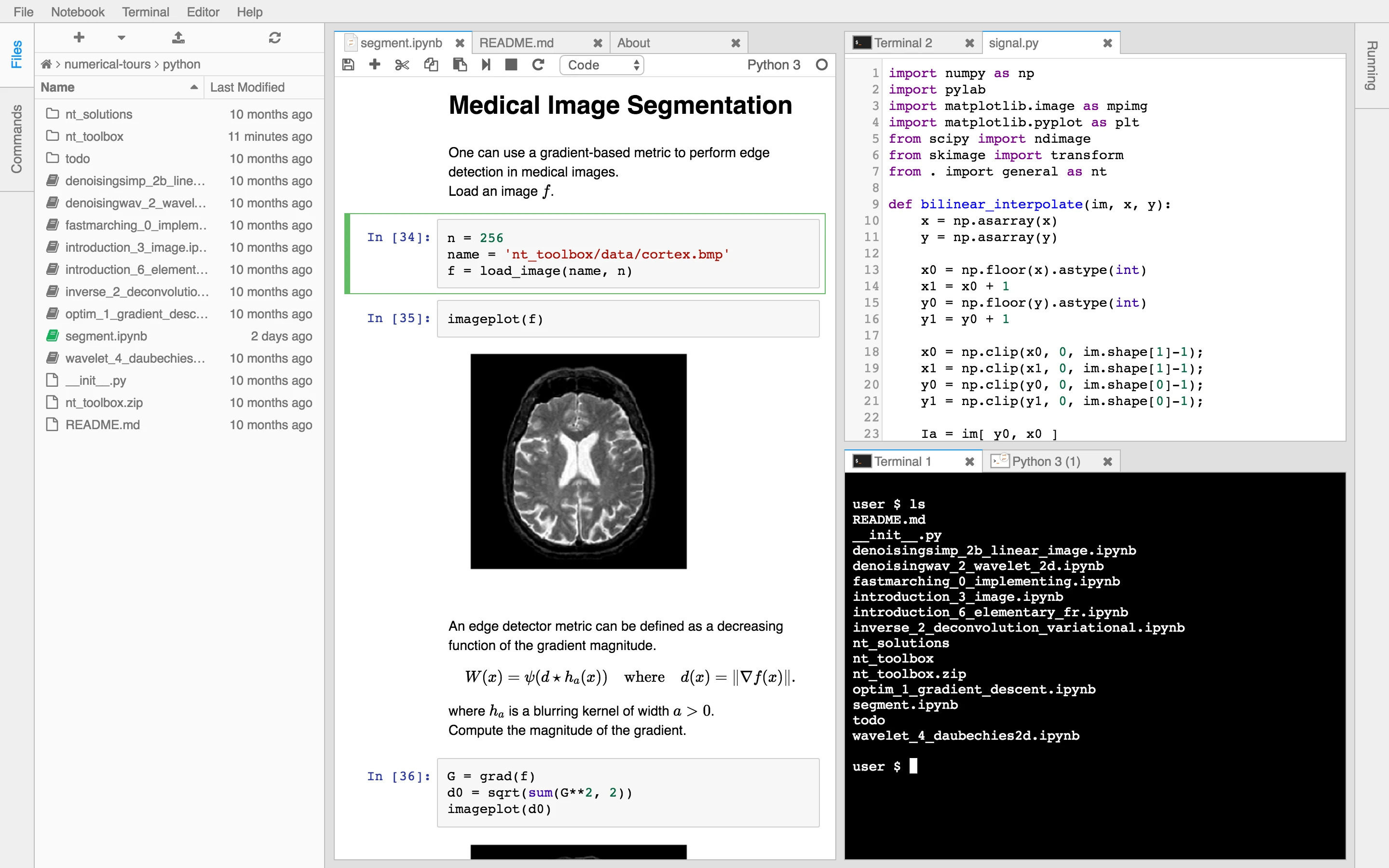 JupyterLab Screenshot