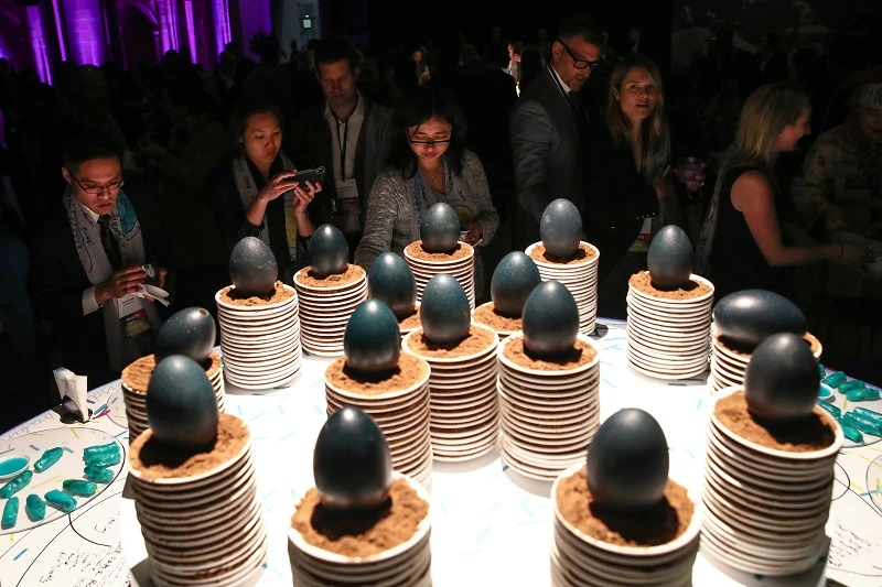 Five-Feastables-3 Miralda, Five Feastables