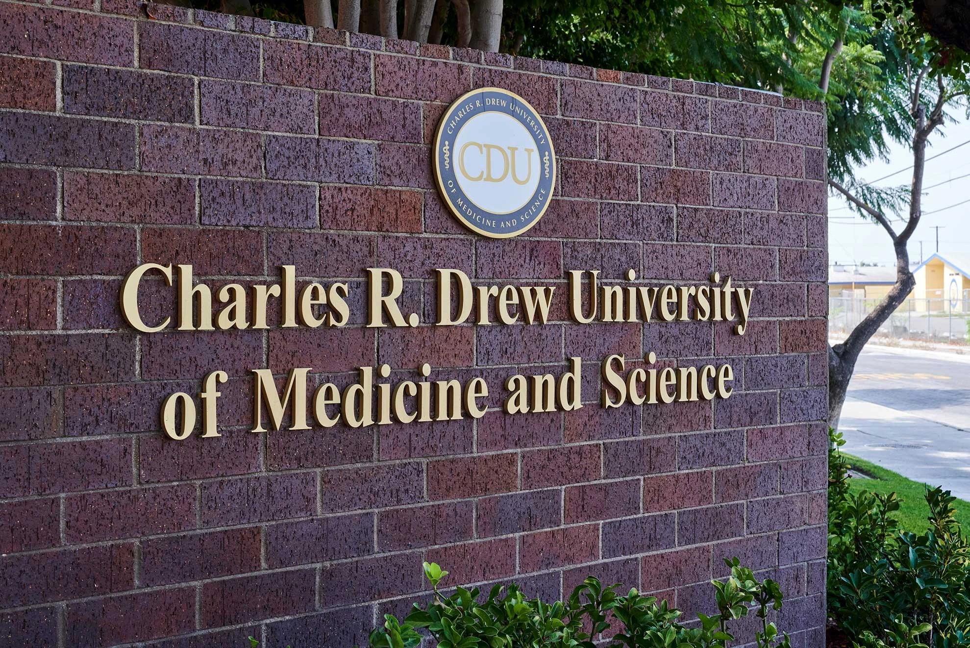 DSC_5694 Signage at Drew Medical School, Los Angeles, CA, October 8th 2020 (CREDIT: John Francis Peters)