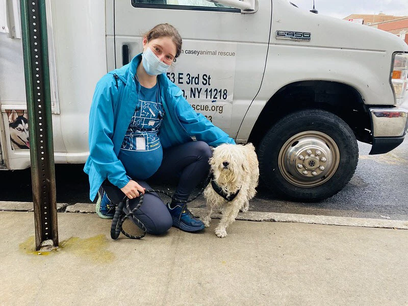 Sean-Casey Sean Casey Animal Rescue