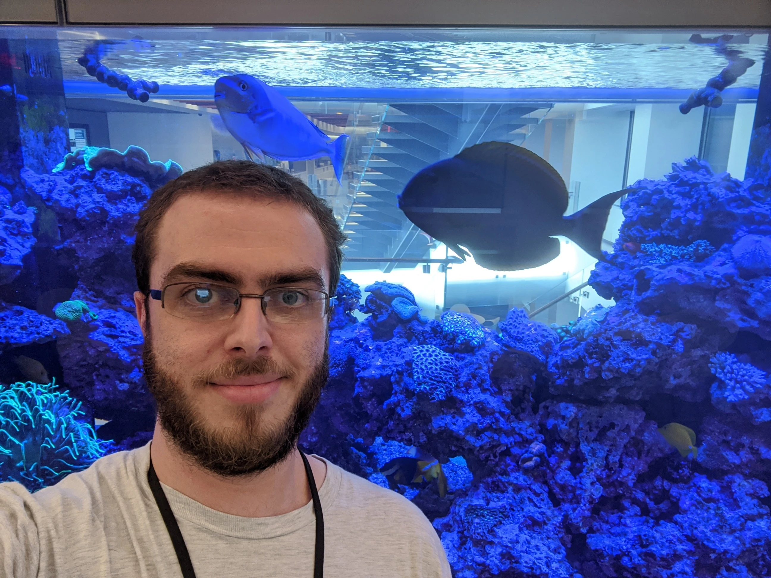 Week-8-Dan-Padawer Dan Padawer