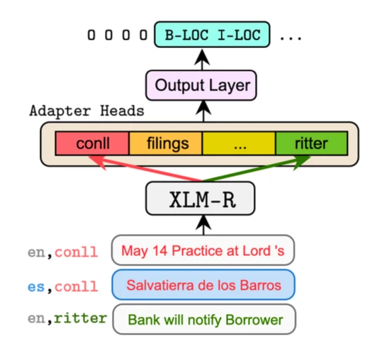 A diagram of a Transformer-based NER model based on the XLM-R model that is trained to handle multiple domains and languages with separate adapter heads.