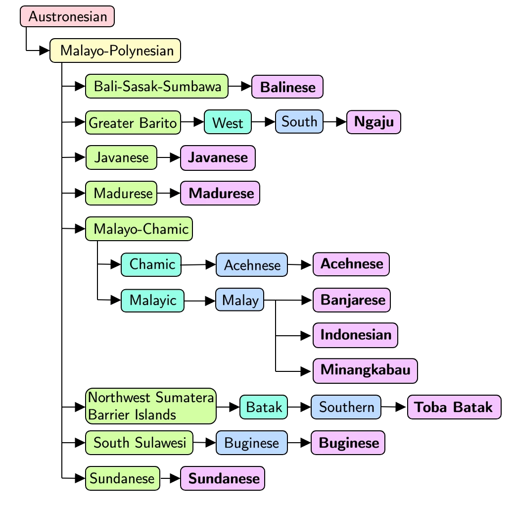 NusaX – Image 1 Language taxonomy of the 10 local languages and Indonesian, according to Ethnologue. The color represents the language category level in the taxonomy. Purple denotes language, while other colors denote language family.