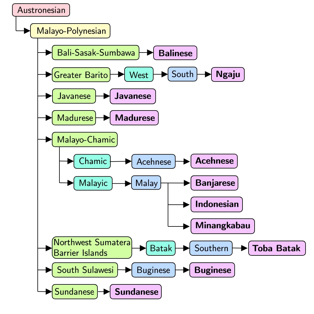 Language taxonomy of the 10 local languages and Indonesian, according to Ethnologue. The color represents the language category level in the taxonomy. Purple denotes language, while other colors denote language family.