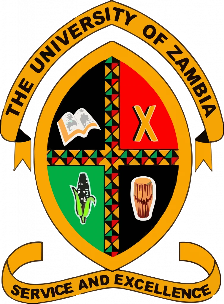 BMIA-11-UniversityofZambiaDepartmentofMediaandCommunicationsStudies