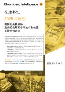 Global FX Outlook 2025 cover