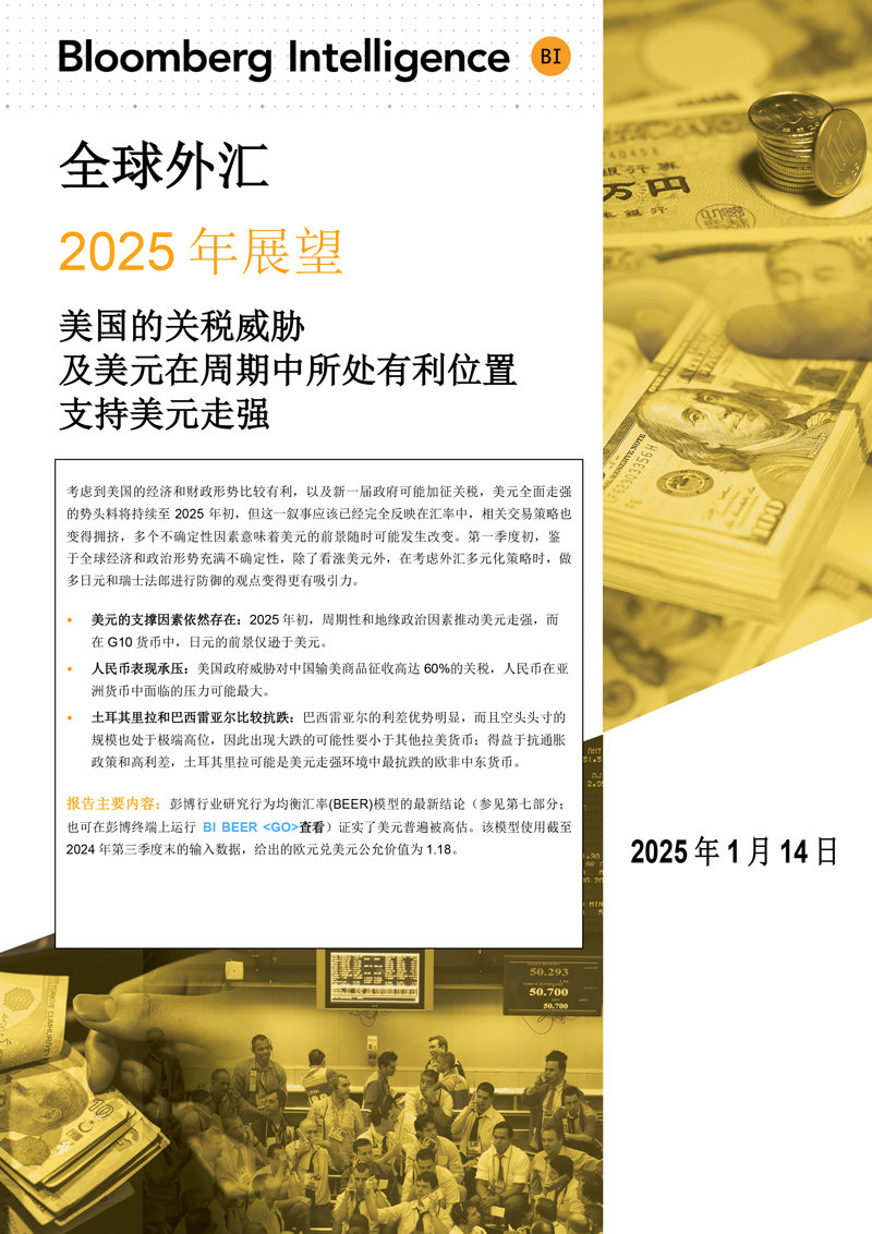 全球外汇2025年展望| 彭博Bloomberg | 中国