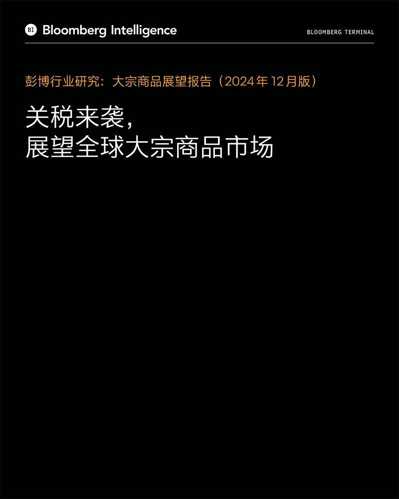 彭博行业研究：大宗商品展望报告（2024年12月版） | 彭博Bloomberg | 中国