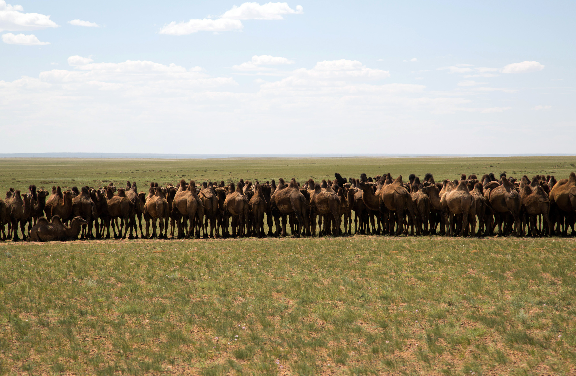 Life Of A Nomad Bloomberg Media Distribution