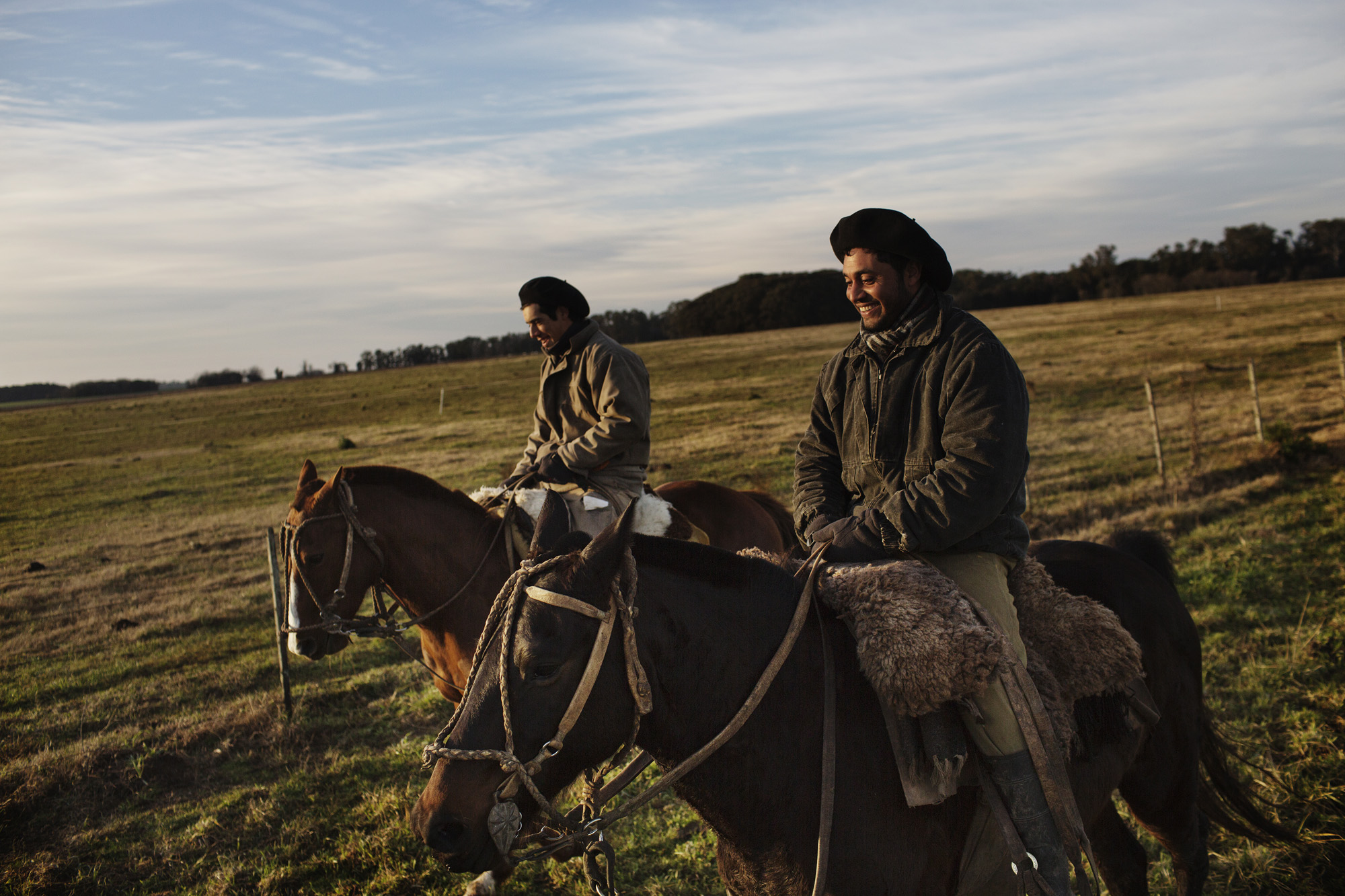 Argentina's Gaucho, Cattle Herding at an Estancia