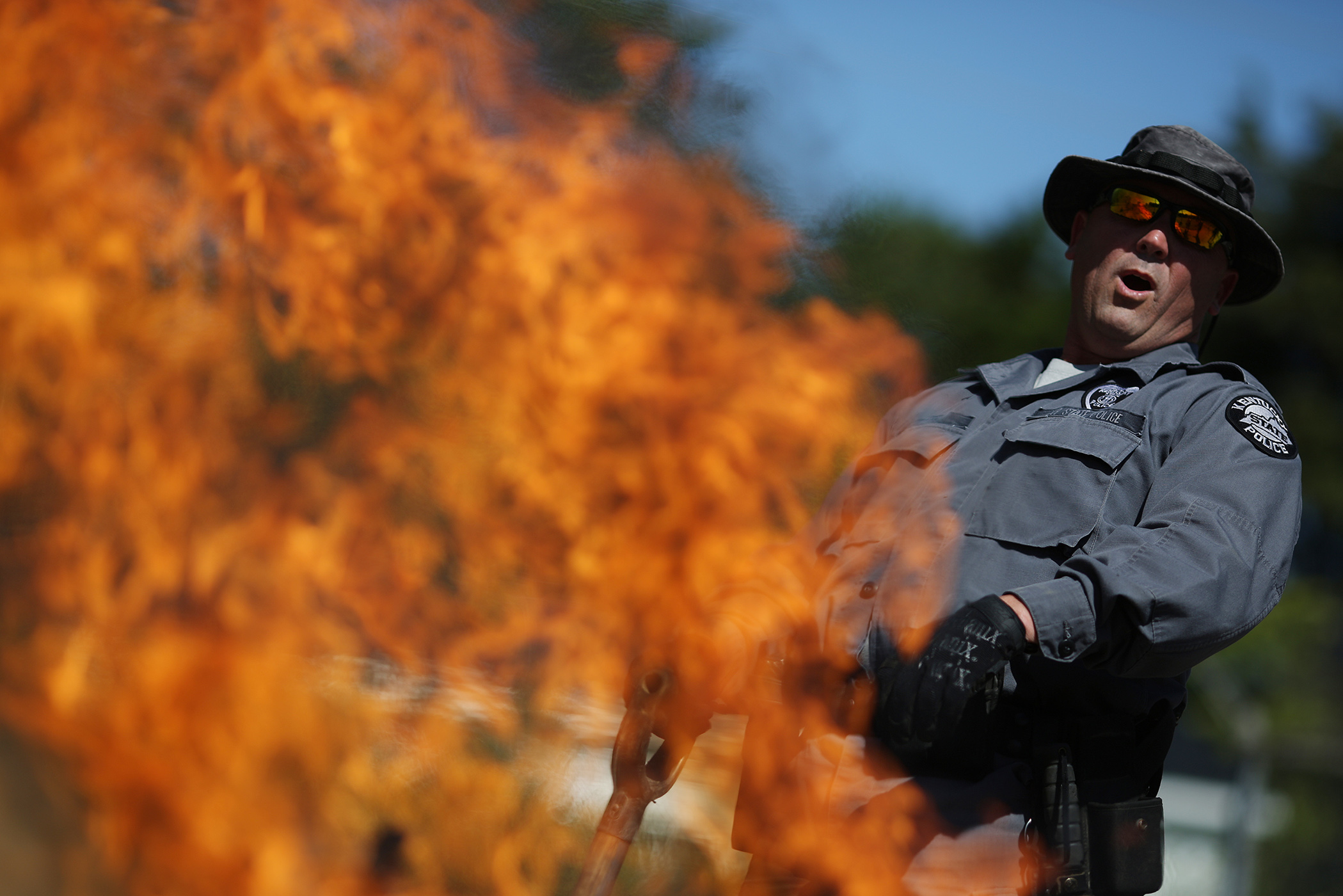 Burning Kentucky's Illegal Weed: A Ride-Along With the Cannabis Cops |  Bloomberg Media Distribution