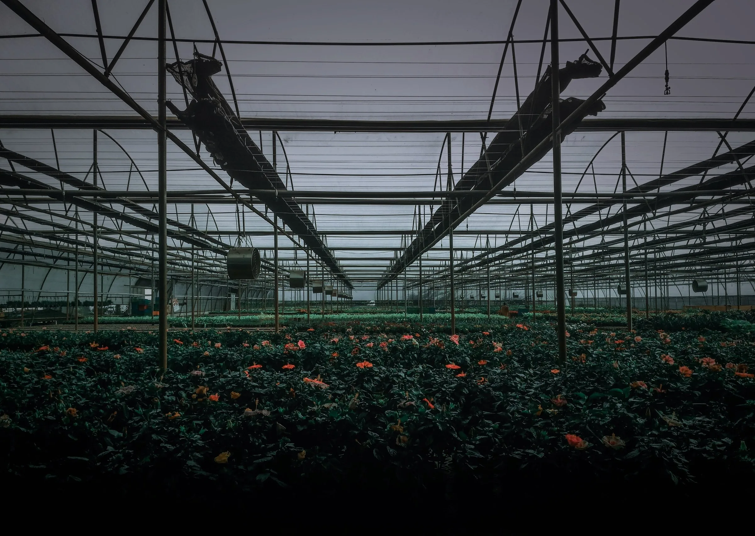 Solutions Spotlight: AgTech for Sustainability