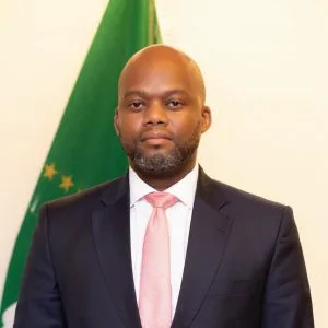 H.E. Wamkele Mene