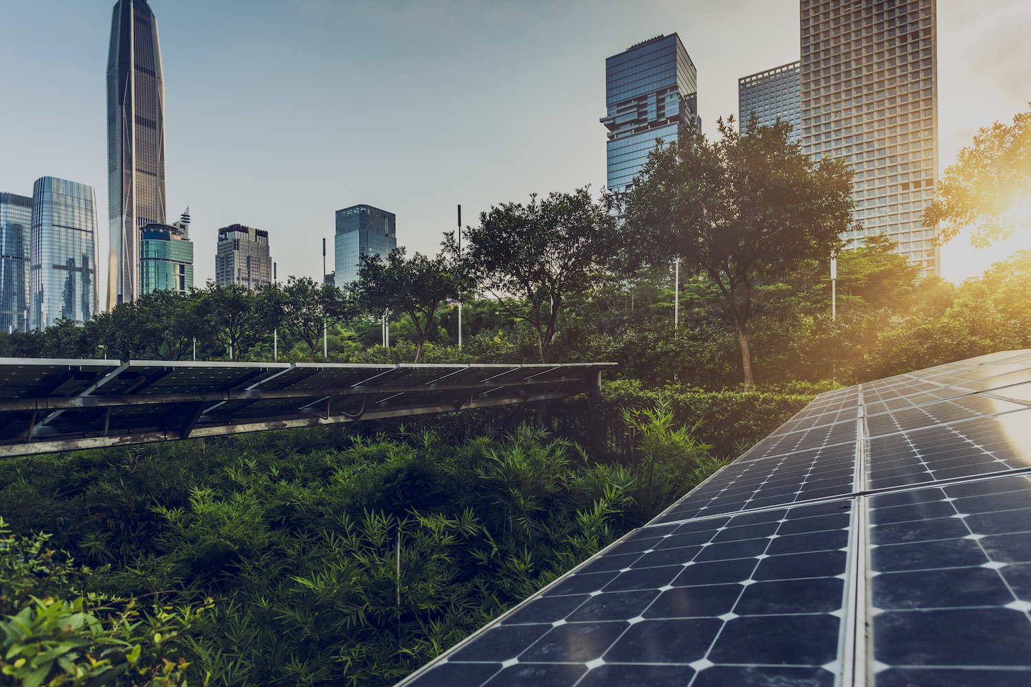 Does Your City Have a Sustainable Future? Here’s the Answer