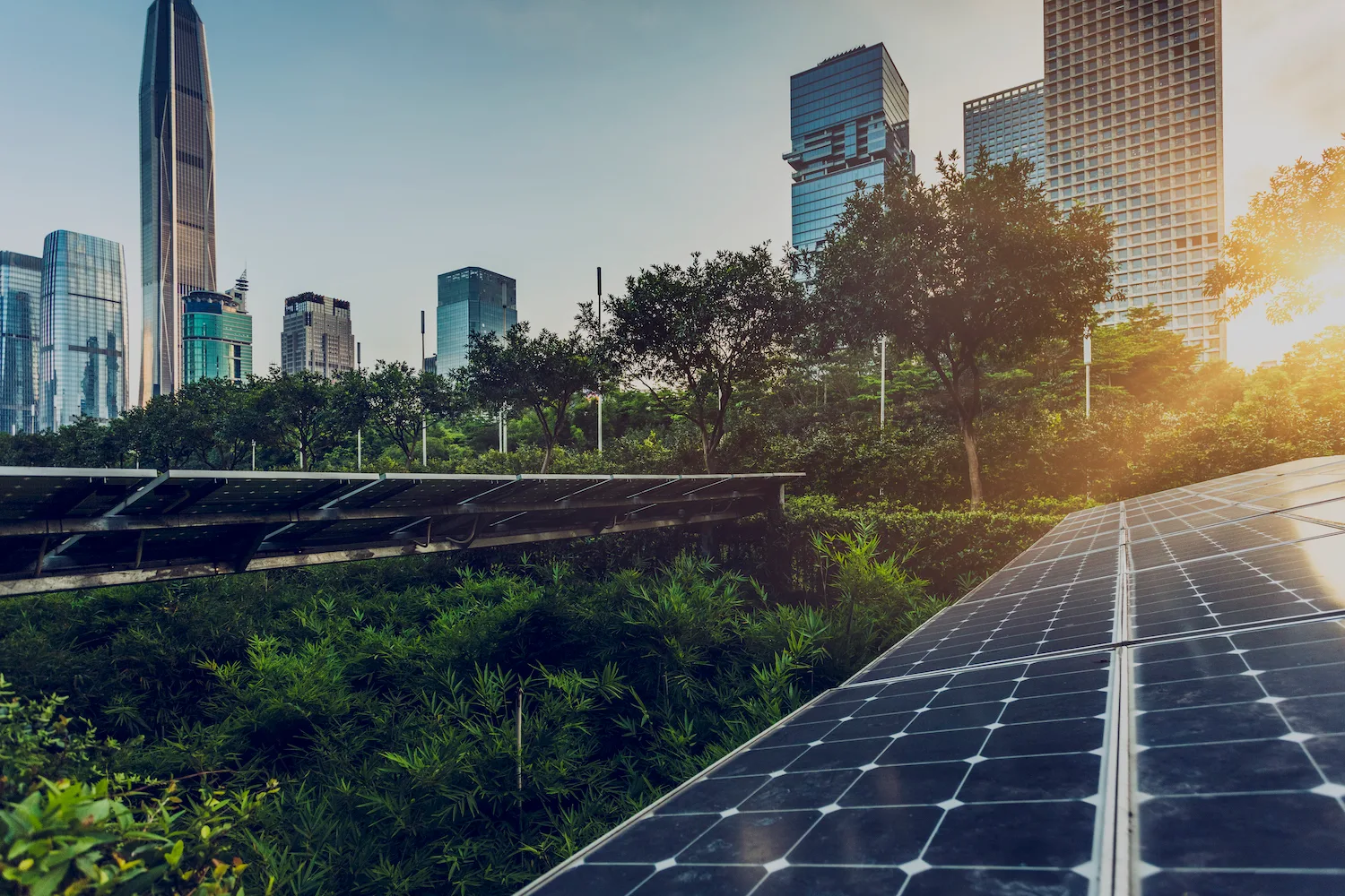 Does Your City Have a Sustainable Future? Here’s the Answer