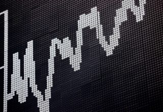 Asset Curve Asset Curve