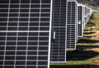 397030202-1 397030202-1