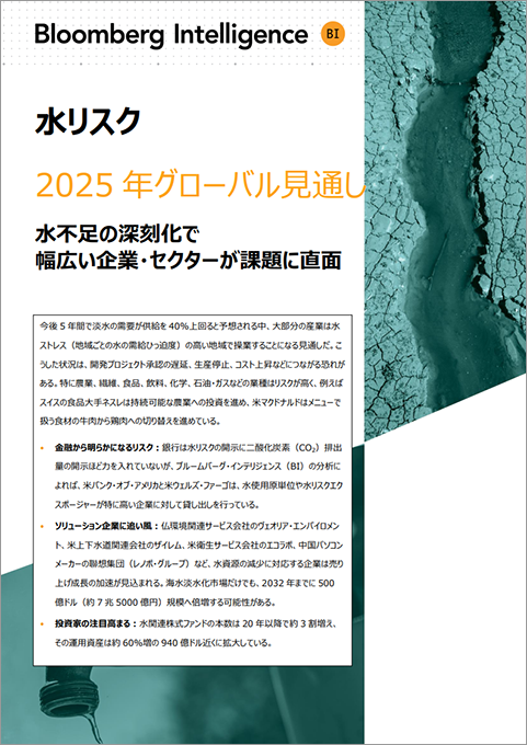 水リスクのグローバル見通し