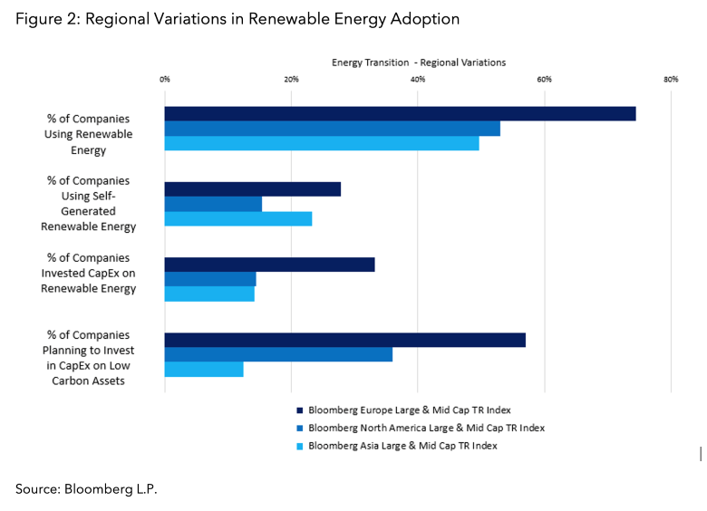 Regional Variations in Renewable Energy Adoption