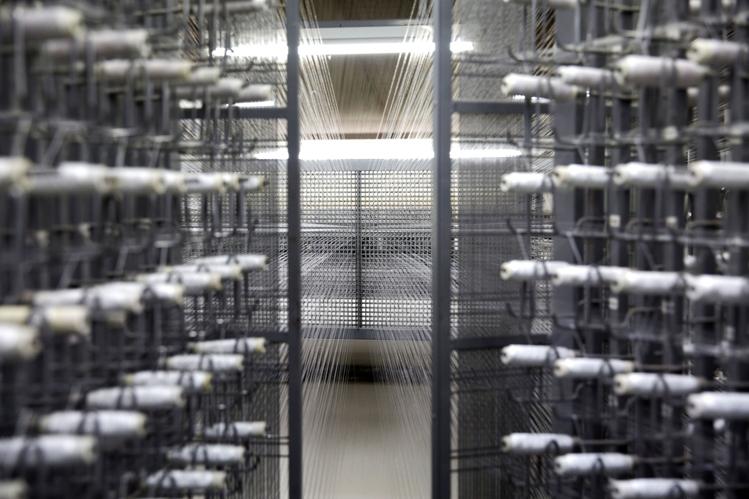 Z世代に関する5つのBIチャート | Bloomberg | ブルームバーグ