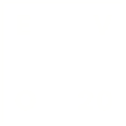 EVO 2020 Logo