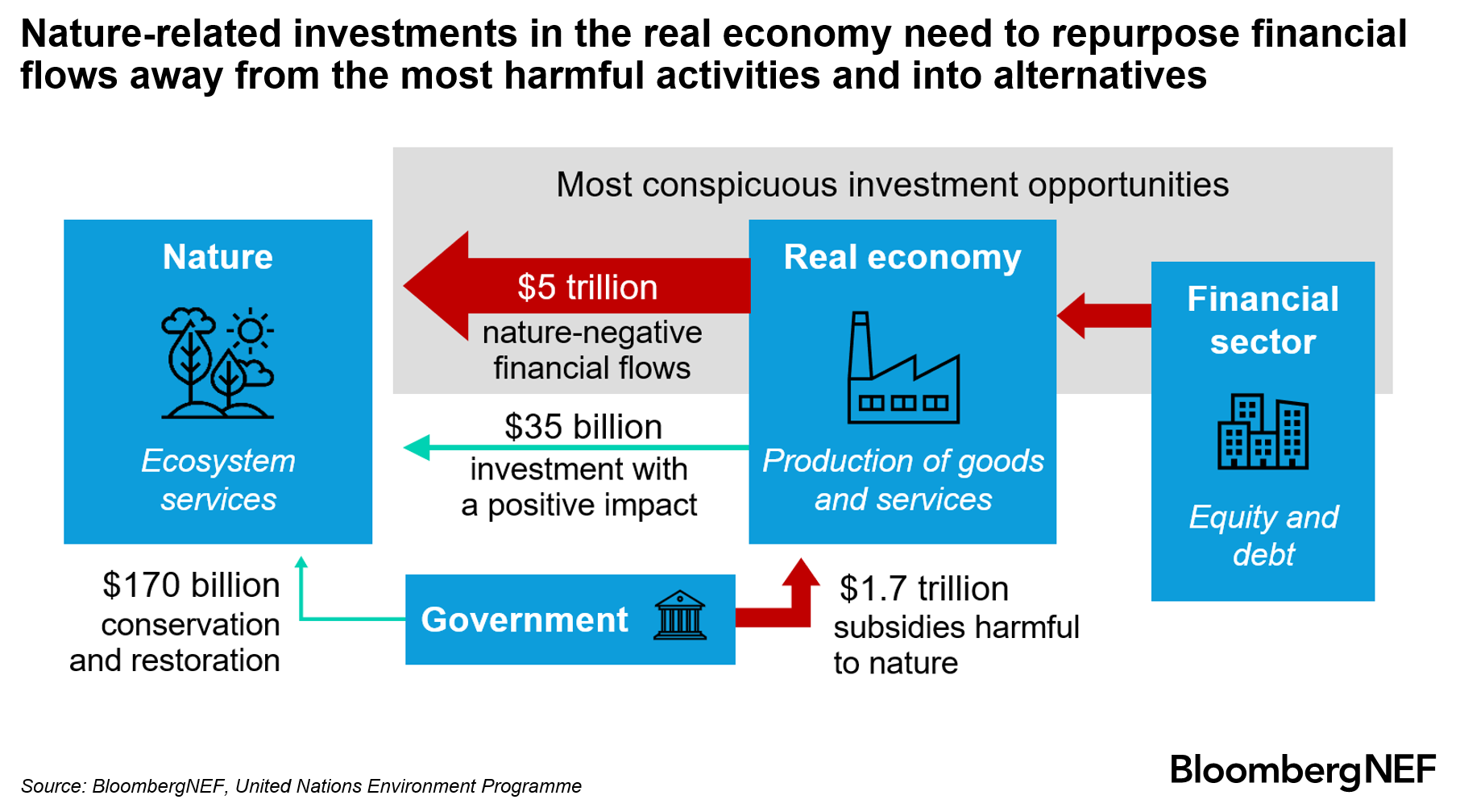 Nature-related investments in the real economy 