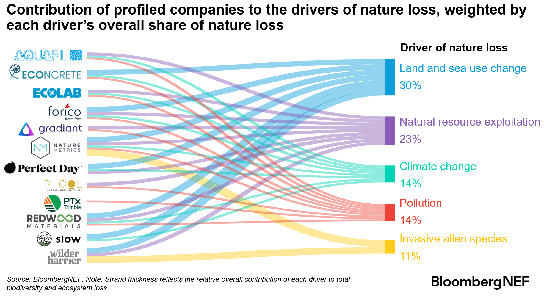 Contribution of profiled companies to the drivers of nature loss